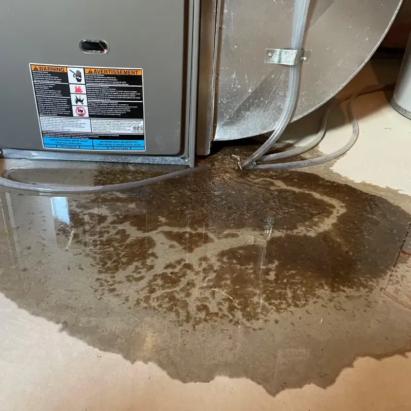 Appliance Leak Cleanup in Tawas City, MI